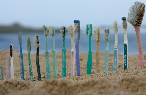 Toothbrushes lined up on a beach display the amount of waste caused by everyday items.