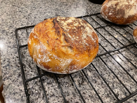 A loaf of sourdough bread fresh from my oven.